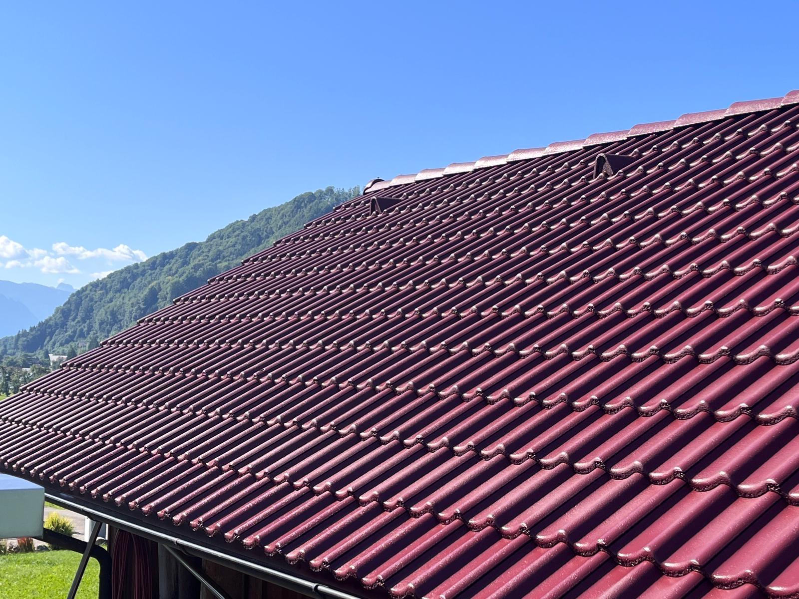 Dachfläche vor Bergkulisse